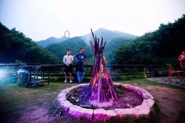 武斗纹章2初篇