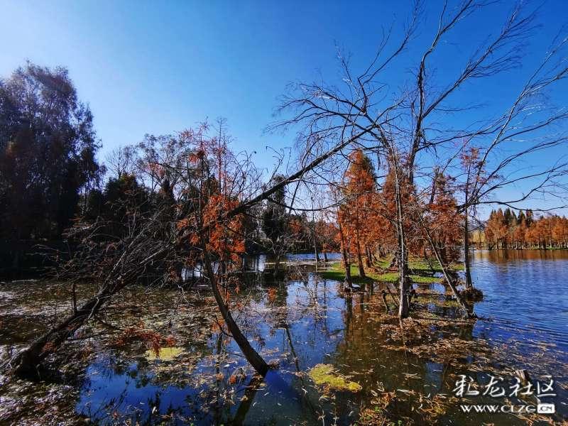 春季赛赛程,AG仅2场黄金档,狼星和RW被偏爱,首周三场有受期待