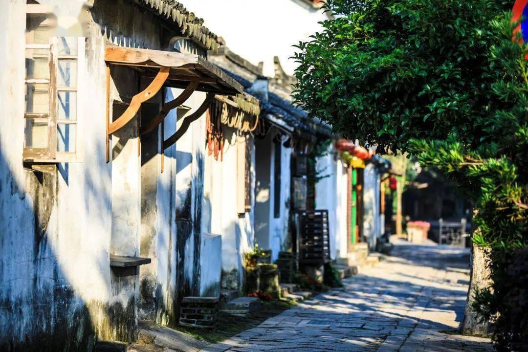 追风逐日 向“绿”而行 河北加快新型能源强省建设